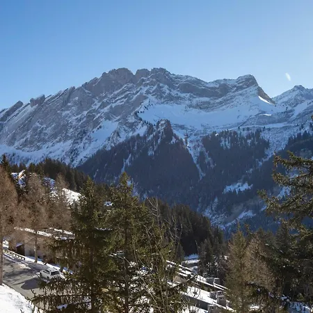 Hunter By Confort * Gryon