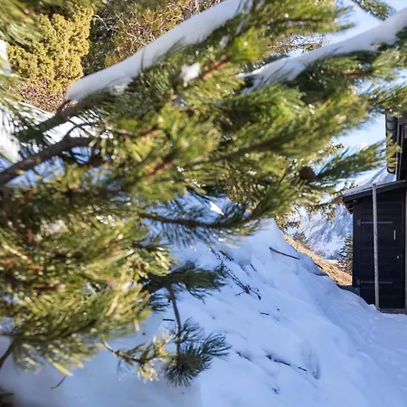 Hunter By Confort * Gryon