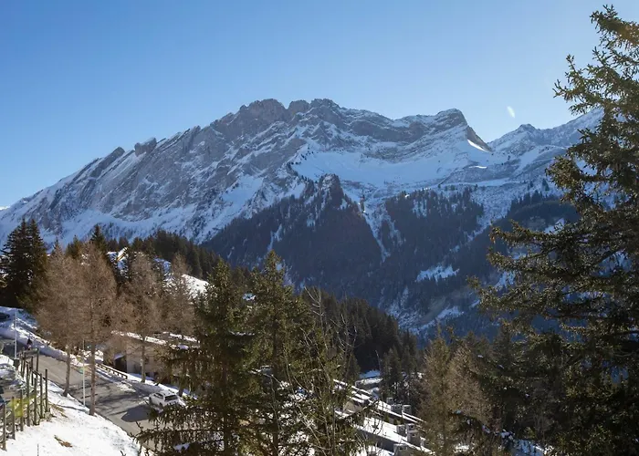 Hunter By Confort * Gryon