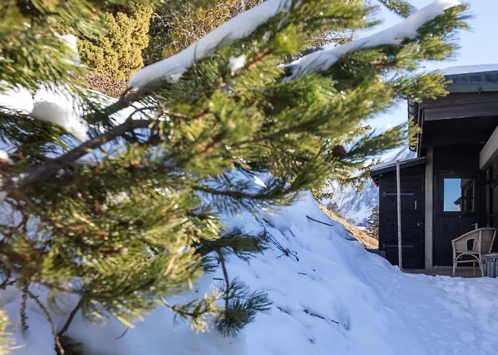 Hunter By Confort * Gryon